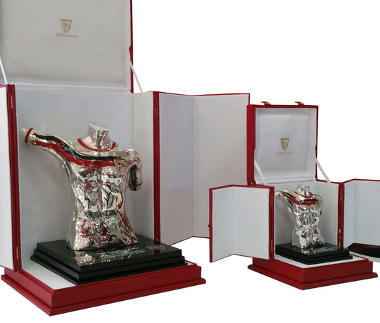 estuches para trofeos, medallas, placas